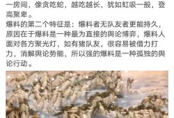 沈阳事件最新爆料,惊人内幕揭露真相