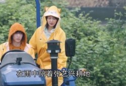 陈大锤最新爆料视频在线观看,揭秘幕后真相，精彩瞬间不容错过