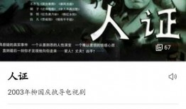 电视剧人证在线观看,真相与情感的交织之旅