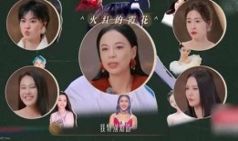 甜妞八卦爆料视频大全集,视频大全集深度解析