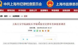 上海匿名新闻爆料网站,幕后真相与网络舆论风云