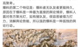 沈阳事件最新爆料,惊人内幕揭露真相