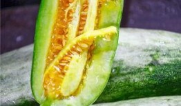 什么网站可以看网红吃瓜,追踪热门事件，畅享娱乐盛宴