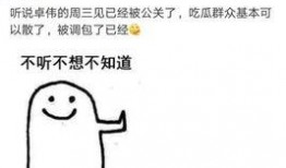 回忆卓伟爆料视频大全,揭秘娱乐圈幕后真相
