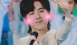 刘宇宁回应爆料视频下载,刘宇宁正面回应爆料视频下载风波