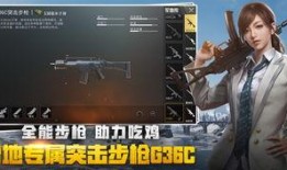 绝地求生商城爆料视频大全,揭秘热门皮肤与武器