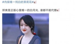 娱乐爆料陈飞宇视频大全,娱乐爆料背后的精彩瞬间