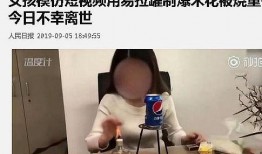 网红爆料小孩视频播放,小孩视频引发热议，揭秘网络传播背后的真相