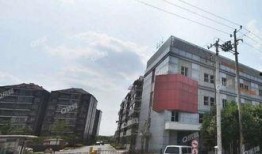 家园小区爆料事件最新,最新事件引发居民热议，真相究竟如何？