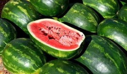 全网吃瓜网站免费入口