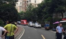 家园小区爆料事件最新,最新事件引发居民热议，真相究竟如何？