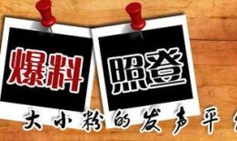 装修今日爆料新闻视频,揭秘今日爆料新闻视频背后的装修秘密