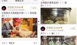 蘑菇视频黑料爆料网,揭秘网络红人背后的真相