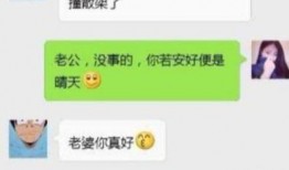 文字爆料段子搞笑视频大全,搞笑视频大全，笑出腹肌的欢乐时光