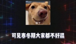 吃瓜娱乐八卦图,揭秘吃瓜图背后的明星秘闻