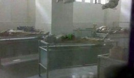 在线观看 停尸姦,揭秘“停尸姦”事件背后的黑暗面