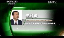 王长勇互相爆料视频大全,娱乐圈风云再起