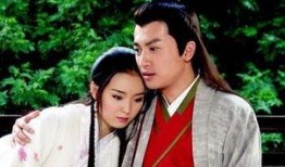 狐雁电视剧在线观看,穿越时空的浪漫传奇