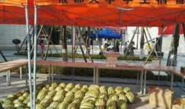 国外免费吃瓜大赛