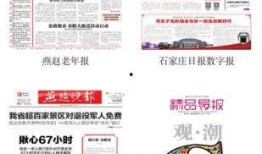 石家庄新闻爆料网手机版,最新动态一触即达，尽享便捷资讯服务