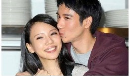 前妻爆料王力宏新婚视频,前妻爆料背后的惊人真相