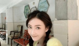 蔡理扬前女友爆料视频,揭秘背后惊人真相