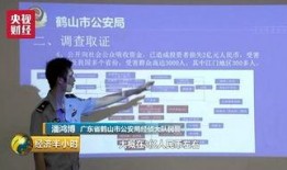 鹤山市爆料新闻事件,真相揭秘，社会关注焦点
