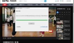 提前爆料的视频下载软件,一键获取海量视频资源