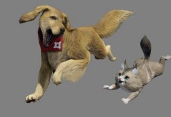 兽境猎犬爆料视频完整版,完整版爆料视频深度解析