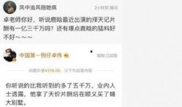 卓伟最新爆料说父子档