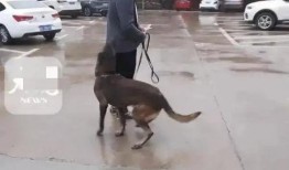 胡鑫宇事件女朋友爆料视频,女友揭露惊人内幕，真相令人震惊