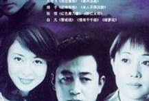 电视剧人证在线观看,真相与情感的交织之旅