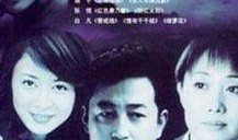 电视剧人证在线观看,真相与情感的交织之旅