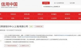 上海匿名新闻爆料网站,幕后真相与网络舆论风云