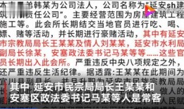 陕西爆料笑死人视频,网友直呼“笑死人”视频走红网络