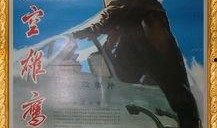 电影长空雄鹰在线观看,翱翔蓝天，谱写英雄传奇