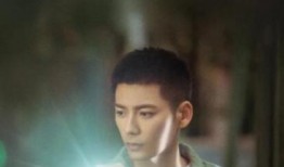 狐雁电视剧在线观看,穿越时空的浪漫传奇